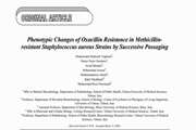 Phenotypic changes of oxacillin resistance in methicillin-resistant staphylococcus aureus strains by successive passaging